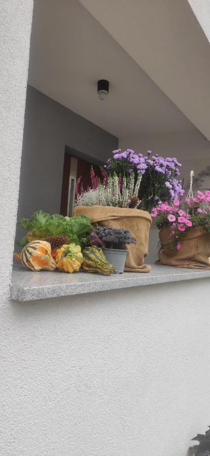 Kania Homestay Szczawnica