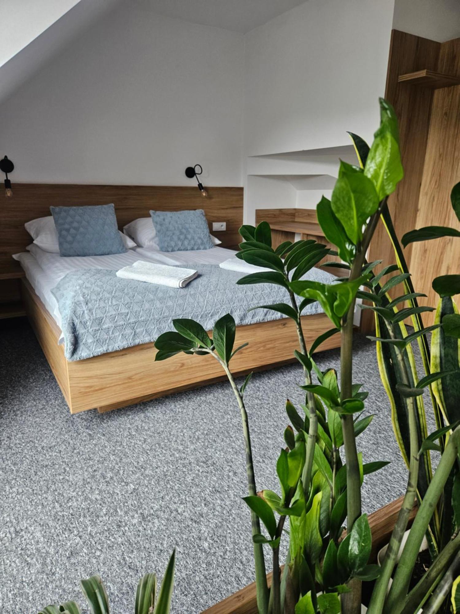 Homestay Kania